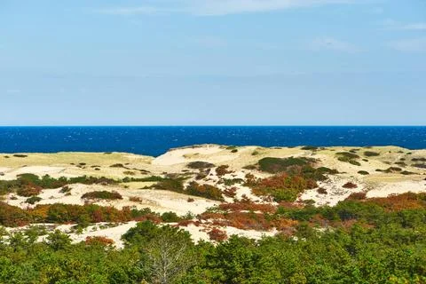 Landscape with sand dunes at Cape Cod Landscape with sand dunes at Cape Co... Stock Photos