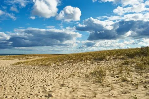 Landscape with sand dunes at Cape Cod Landscape with sand dunes at Cape Co... Stock Photos