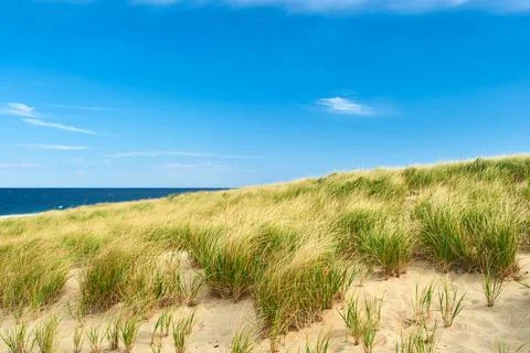 Landscape with sand dunes at Cape Cod Landscape with sand dunes at Cape Co... Stock Photos