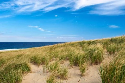 Landscape with sand dunes at Cape Cod Landscape with sand dunes at Cape Co... Stock Photos