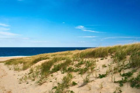 Landscape with sand dunes at Cape Cod Landscape with sand dunes at Cape Co... Stock Photos