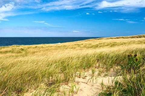 Landscape with sand dunes at Cape Cod Landscape with sand dunes at Cape Co... Stock Photos