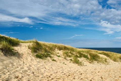 Landscape with sand dunes at Cape Cod Landscape with sand dunes at Cape Co... Stock Photos