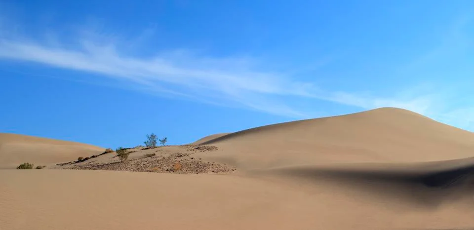 Landscape of sand dunes Stock Photos