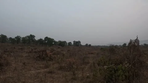 Landscape of The Sariska jungle Stock-Footage 297756350