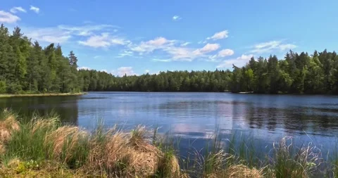 Landscape scene featuring a lake. Stock Footage 340141679