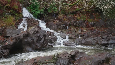 Landscape scene of a small hillside stream flowing in to a river. 4K tripod Stock Footage 222760820