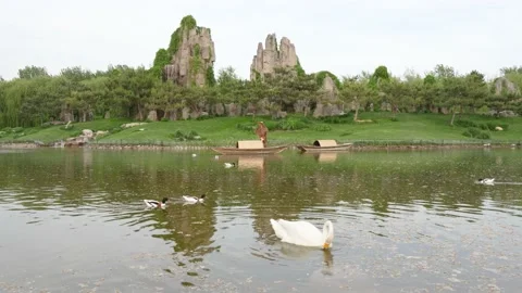Landscape scene with swans and ducks swimming on the water Stockbeeldmateriaal 195581621