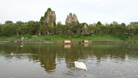 Landscape scene with swans and ducks swimming on the water Stock Footage 195581877