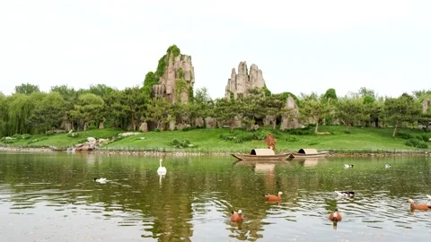 Landscape scene with swans and ducks swimming on the water Stock Footage 195584922