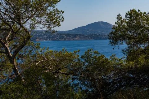 Landscape scene, trees in the foreground, in the background Calp Bay in morning Stock Photos