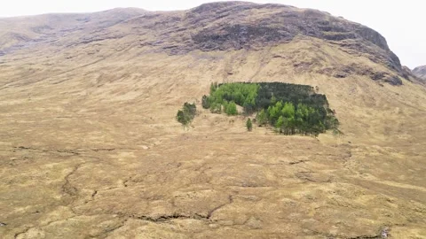 Landscape in Scotland Stock Footage 246630539