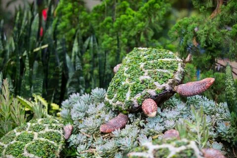 Landscape Sculpture Turtle Stock-Fotos