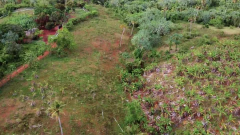 Landscape with sea at the end Stock Footage 153808145