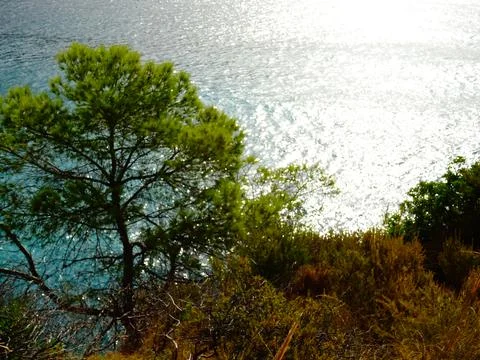 Landscape by the sea Stock Photos