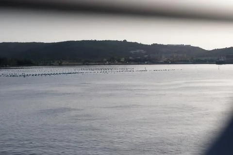 Landscape with sea Foto stock