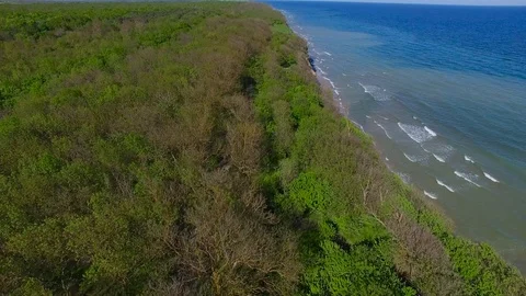 Landscape separating the coastline between the sea and the forest background Stock Footage 95891920