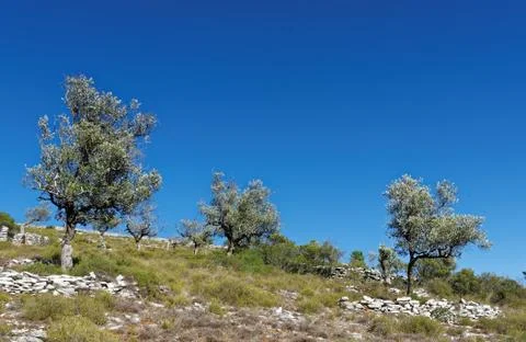 Landscape of Serra de Aire e Candeeiros Stock-Fotos