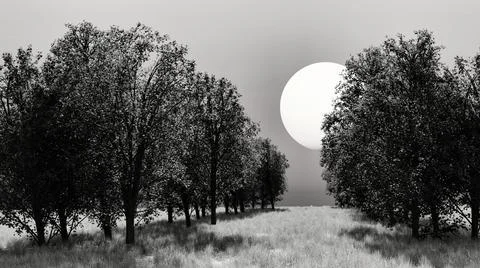 Landscape with the setting sun in the park, 3d render Ilustração Stock