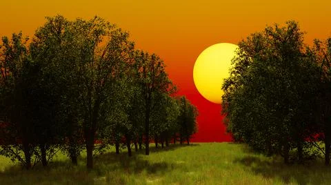 Landscape with the setting sun in the park Ilustração Stock