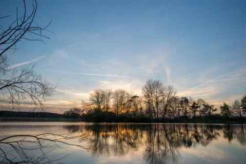 Landscape with several trees on side of pond Stock Photos