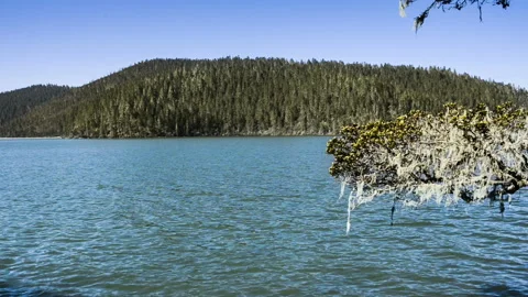 Landscape of Shangri-La Vídeo Stock 85801005