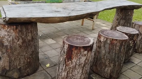 Landscape-shaped video, a tree trunk that has been cut is used as a rustic chair Stock Footage 228806587