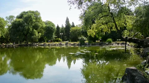 Landscape of Shenyang Beiling Park Видео 85811028
