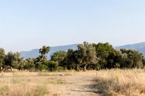 A landscape shoot from a empty field Stock Photos