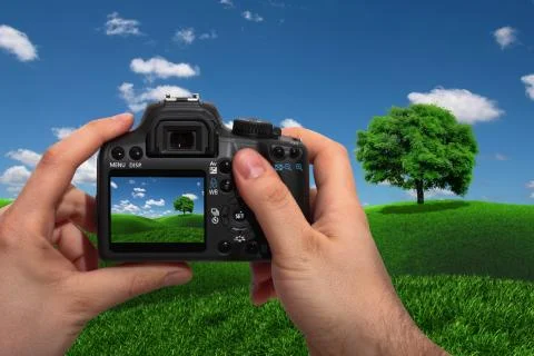 Landscape shooting Stock Illustration