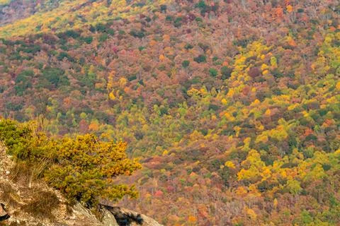 Landscape shot features pretty fall colors in north Georgia mountains Stock Photos