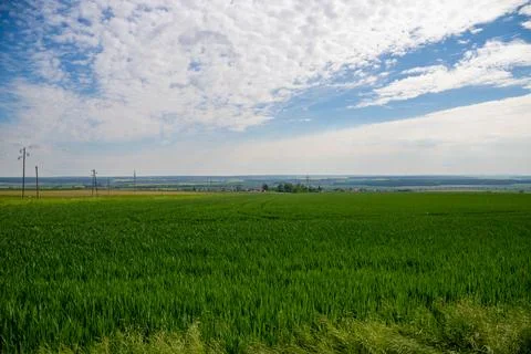 Landscape shot of fields and cloudy sky Stock Photos