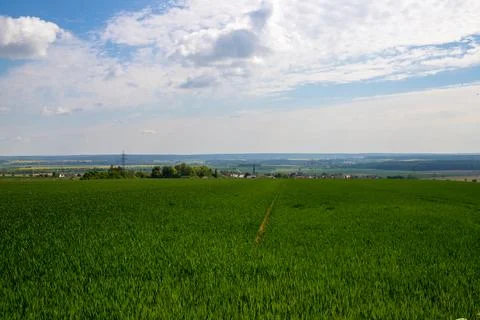 Landscape shot of fields and cloudy sky Stock Photos
