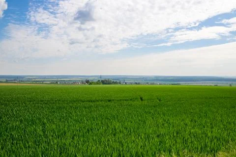 Landscape shot of fields and cloudy sky Stock Photos