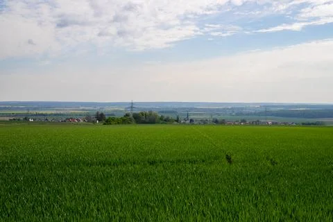 Landscape shot of fields and cloudy sky Foto stock