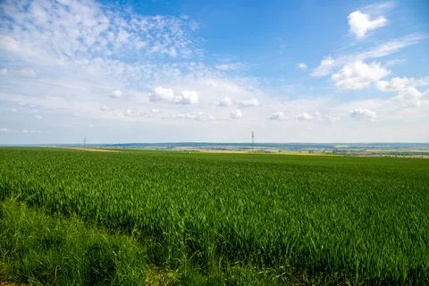 Landscape shot of fields and cloudy sky Stock Photos