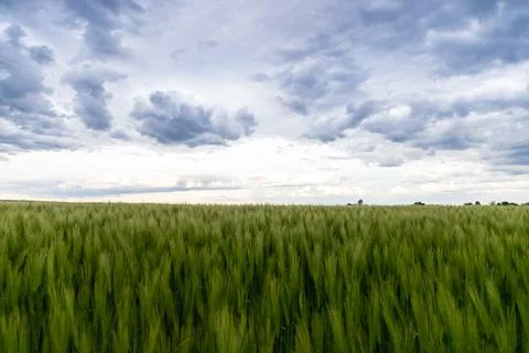 Landscape shot of fields and cloudy sky Stock Photos