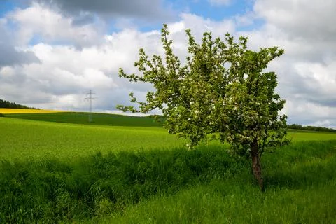 Landscape shot of fields and cloudy sky Stock Photos