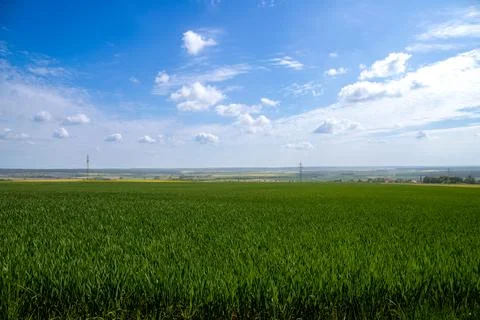 Landscape shot of fields and cloudy sky Stock Photos