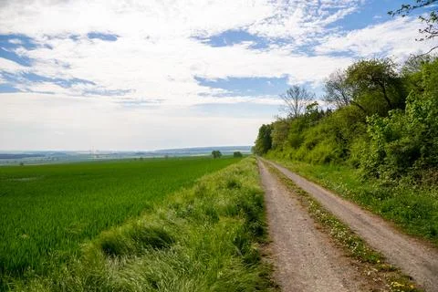 Landscape shot of fields and cloudy sky Stock Photos
