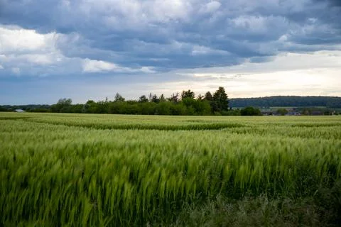 Landscape shot of fields and cloudy sky Stock Photos