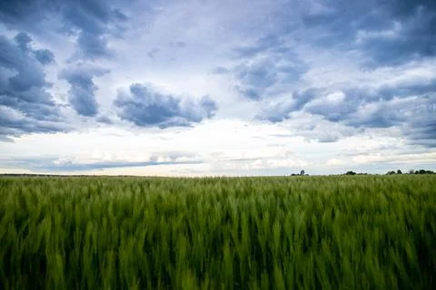 Landscape shot of fields and cloudy sky Stock Photos