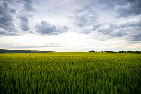 Landscape shot of fields and cloudy sky Stock Photos
