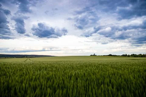 Landscape shot of fields and cloudy sky Stock Photos