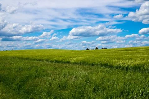 Landscape shot of fields and cloudy sky Stock Photos