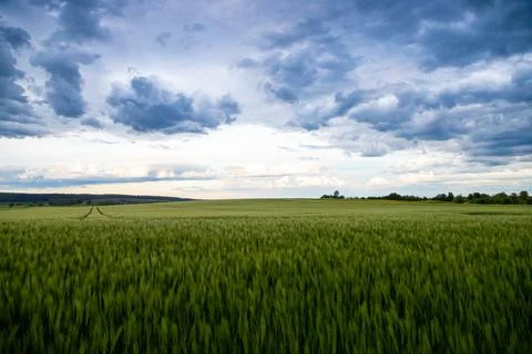 Landscape shot of fields and cloudy sky Stock Photos