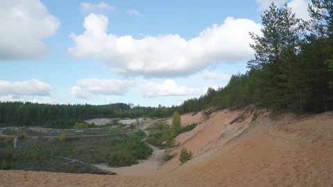 Landscape shot of the forest and white sand area in Piusa Stock Footage 72129653