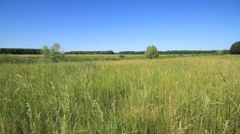 Landscape. shot with slider. Stock Footage 6527228