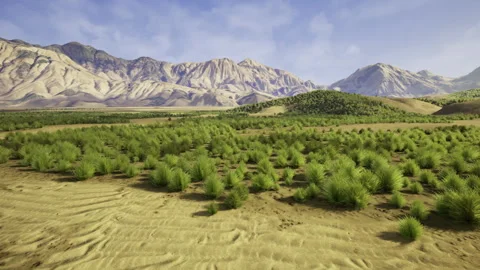 Landscape with shrubs. Vegetation clusters and soil analysis report Stock Footage 341562536