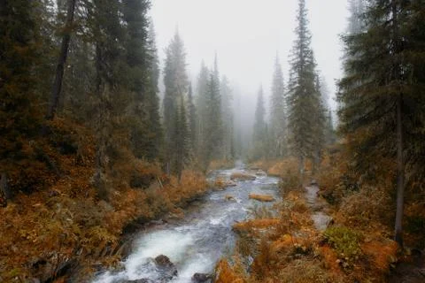 Landscape in Siberia. Stock Photos